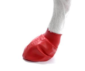 Pawz Natural Rubber Dog Boots - Small Red - Pack of 12