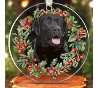 Pawzity Black Lab Ornament - Black Lab Ornaments for Christmas Tree, Labrador Retriever Dog Ornaments - Dog Gifts for Women Men, Dogs Lovers Gifts - Acrylic Hanging Ornament 2025