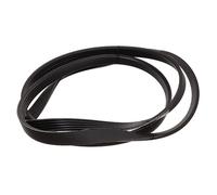 Paxanpax PLD291 AEG Drive Belt (1270J5) Fits AEG 500-600-700-800-900-1000 Series; Whirlpool AWB260