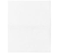 Paxanpax Universal Non Original Cut to Size Vacuum Cleaner Microfilter, 255 x 202 mm, White