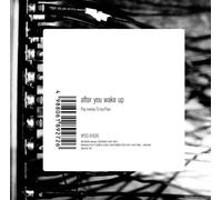 Pay Money to My Pain - After You Wake Up [Import]