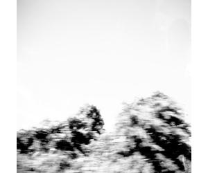 Pay Money to My Pain - Pictures [Import]