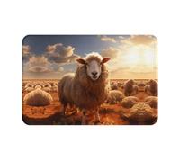 PAYDYLONA Australian sheep Printed Front Doormat - Welcome Mat for Indoor and Outdoor Use, Porch Rug, 16x24 Inch