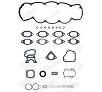 PAYEN DX390 Gasket Set, cylinder head for ,IVECO