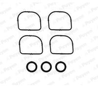 PAYEN HA5024 Gasket Set, intake manifold for BMW,BMW (BRILLIANCE)