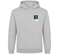 Payne Stewart Miami Dolphins Golf Icon Frame Men's Hoodie - Gray / 5XL