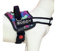 Payton Perry No Pull Dog Harness with 3 Clips, Reflective Adjustable Padded Dog Harness, Ideal for Walking Training Shih Tzu (Diamond Blue, XS)