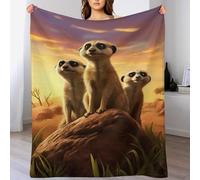 PAZZK Meerkat Blanket Ultra-soft Micro Fleece Blanket Soft And Warm Digitally Printed Blanket Blanket Anti-pilling Throw Blanket For Adults & Kids（130×150cm）