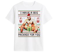 PB TECH Barry Sitting On A Bed Big Package Ugly Funny Christmas T-Shirt - I Have a Big Package for You Barry Wood T-Shirt, Secret Santa Idea for Christmas (UK, Alpha, S, Regular, Regular) White