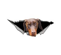PBHYDK 2Pcs Brown Doberman Dog Self-Adhesive Decal Car Sticker Waterproof Auto Decors On Bumper Rear Window Laptop Funny Car Bumper Sticker Decoration Sticker