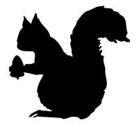 PBHYDK 2Pcs Squirrel Car Sticker Decals Funny Cartoon Motorcycle Stickers Car Styling Accessories 10 * 9.4Cm Laptop Suitcase Truck Car Decal Decoration Sticker
