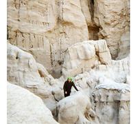 Pc Worship - Social Rust