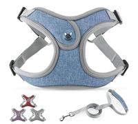 PcEoTllar Dog Harness and Lead Set, Reflective Chest Step-in Harness for Medium Dogs with 1.4M Leash, Blue-L