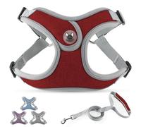 PcEoTllar Dog Harness and Lead Set, Reflective Step-in Chest Harness for Small Medium Dogs, with 1.4M Leash, Red-S