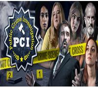 PCI Public Crime Investigation Steam CD Key