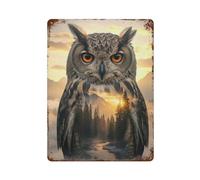 PCMOAUDB Owl And Mountain View DoubleWall Decor Art Metal Tin Poster Modern Bar Decorations40x30cm