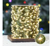 PCORES 100M 1000LED Fairy Lights Plug in with Remote and Timer, Waterproof Green Copper Wire Christmas Lights Bedroom Decor, Twinkle Lights for Christmas (Warm White,Adaptor Included)