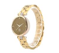 PctkeLsend Stainless Steel Watchband Fit for Garmin Lily(Gold)