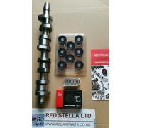 PD Camshaft KIT WITH CAM BEARINGS FOR AUDI A4 VW PASSAT 1.9 2.0 TDI 8VALVE