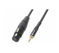 PD Connex Professional Audio Cable 0.5m XLR Female to 3.5mm Stereo Minijack, Flexible Shielded Connection for Mobile DJ, Studio & Audio Installations