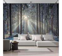 pdghsdkgjh Photo Wallpaper Light Blue Winter Forest Sunlight Shining Through The Trees Wall Mural Bedroom Living Room Decoration, 430cm x 300cm