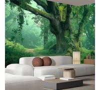 pdghsdkgjh Rainforest Photo Wallpaper - XXL Photo Wallpaper, Ancient Trees Moss Landscape 3D Effect Wallpaper, Green Wallpaper for Living Room Bedroom Non-Woven Wallpaper Wall Mural, 350cm x 256cm