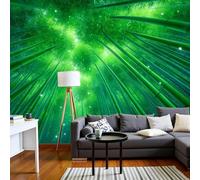 pdghsdkgjh Wallpaper Nature Landscape Photo Wallpaper 3D Effect Silk Fabric Wall Decor, Dense Bamboo Forest Wall Mural Poster Decoration for Living Room Bedroom Hallway, 400cm x 280cm