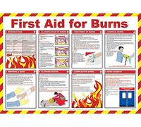 PDL - Pegdev - First Aid Laminated Health & Safety Poster - A2 Landscape, Prevent Accidents, First Aid for Burns.