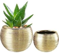 pdodo Ceramic Plant Gold Pots Indoor,Ceramic Plant Pot Small Flower Pot Decorative Artificial Plants Fake Succulent Potted Indoor Plant Mini Plant Succulent Orchids Garden Planter Diameter 8CM 10CM