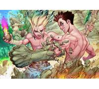 PDSYUCHEN Puzzle 1000 Pieces ，Colorful Jigsaw ，Pictures ，Gifts ，Classic Japanese Animes Dr.Stone Poster - Children'S Educational Toys - Tz83Kj