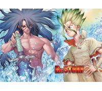 PDSYUCHEN Puzzle 1000 Pieces ，Colorful Jigsaw ，Pictures ，Gifts ，Classic Japanese Animes Dr.Stone Poster - Children'S Educational Toys - Tz88Kj