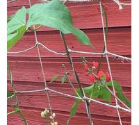 Pea and Bean Biodegradable Natural Jute Netting (1.8m x 2.7m Natural)