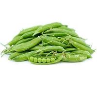 Pea Plants, 12 x Full Plant Pack, Vegetable Plants, Peas, Garden Peas, Fresh Vegetables, Grow Your Own, Garden Ready, Premium Quality Veg