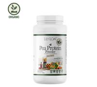 Pea Protein Powder Hint of Berry / 6 Pack