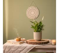 Peace Lily Plant - Elegant Indoor Flower - Luxe Leaf Plants Uk Online Flowers