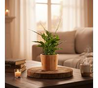 Peace Lily Plant in Rustic Ceramic Pot - Indoor Houseplant with Pot Included | Luxe Leaf Plants