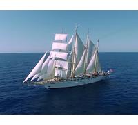 Peace, Plastic, and History