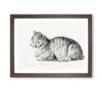 Peaceful Cat By Jean Bernard Vintage Framed Print | A2 Walnut Framed Wall Art | Ready to Hang | Classic Animal Picture | Living Room Bedroom Lounge Office