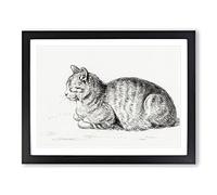 Peaceful Cat By Jean Bernard Vintage Framed Print | A3 Black Framed Wall Art | Ready to Hang | Classic Animal Picture | Living Room Bedroom Lounge Office