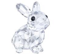 Peaceful Countryside Baby Rabbit