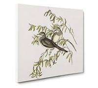 Peaceful Ground Doves Bird by Elizabeth Gould Vintage Canvas Wall Art Print Ready to Hang, Framed Picture for Living Room Bedroom Home Office Décor, 14x14 Inch (35x35 cm)