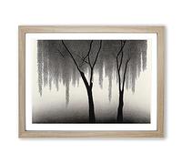 Peaceful Weeping Willow Trees H1022 Framed Print for Living Room Bedroom Home Office Décor, Wall Art Picture Ready to Hang, Oak A3 Frame (46 x 34 cm)