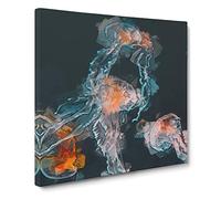 Peach Jellyfish Canvas Print | Gallery Wrapped 30mm Frame Wall Art | 14x14 inches | Ready to Hang | Abstract Still Life Picture | Living Room Bedroom Lounge Office