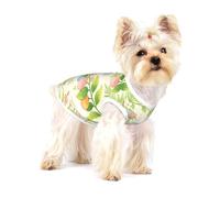 Peach Orchard Whim Small Dog Shirt Cotton Pet Tee Gift for Cats | Cotton Pet Shirt Gift For Dog And Cat Owners, Sleeveless Pullover Tee With Fun Print For Puppies Kittens And Small Breeds