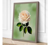 Peach Rose Bloom Botanical Canvas Wall Art Print 18x12 Inch | Ready to Hang, Gallery Wrapped, Fade-Resistant Inks, Securely Packaged, UK Made