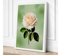 Peach Rose Bloom Botanical Canvas Wall Art Print 18x12 Inch | Ready to Hang, Gallery Wrapped, Fade-Resistant Inks, Securely Packaged, UK Made