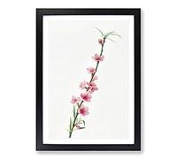 Peach Tree Blossoms by Giorgio Gallesio Framed Print | A2 Black Framed Wall Art | Ready to Hang | Modern Floral Picture | Living Room Bedroom Lounge Office
