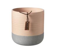 Peach Two Tone Indoor Ceramic Plant Pot With Cement Base - H10 Cm