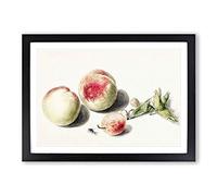 Peaches & Plum by E.G. Van de Kasteele Framed Print | A2 Black Framed Wall Art | Ready to Hang | Modern Nature Picture | Living Room Bedroom Lounge Office