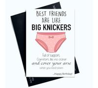Peachy Antics Funny Birthday Card For Best Friend Best Friends Are Like Big Knickers Full Of Support Funny Joke Birthday Card For Friend For Bestie BestFriend AP142